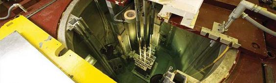 Neutron Imaging of Irradiated Nuclear Fuel at Idaho National Laboratory